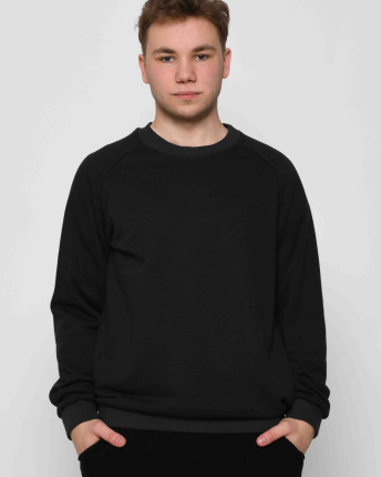 Утепленный мужской свитшот на флисе цвет антрацит 30135, Цвет: Графит, Размер: S