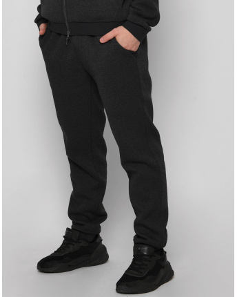 Мужские антрацитовые спортивные штаны на флисе 29936, Цвет: Графит, Размер: L