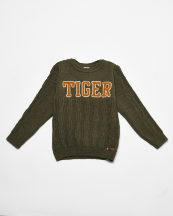 Детский свитер с вышивкой "Тигр" 53246, Цвет: Хаки, Размер: 92
