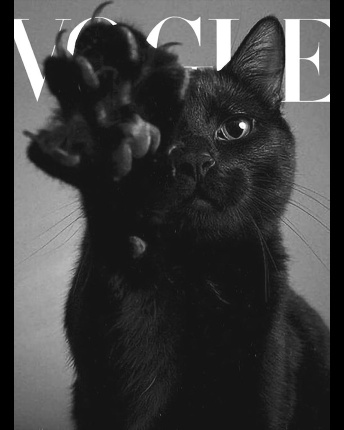 Футболка чоловіча з принтом  CRC 16061-8 Vogue Kitty 57087, Колір: Чорний, Розмір: S, зображення 3