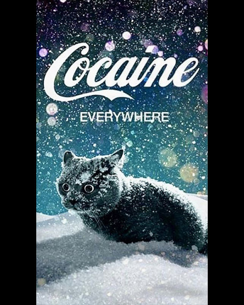 Женская футболкаCRC 26039-8 Cocaine Cat 57987, Цвет: Черный, Размер: XS, изображение 3