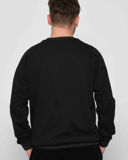 Утепленный мужской свитшот на флисе цвет антрацит 30135, Цвет: Графит, Размер: S, изображение 3