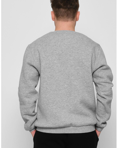 Серый мужской свитшот на флисе 29929, Цвет: Серый, Размер: S, изображение 3