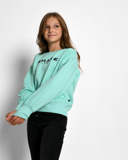 Подростковый свитшот с вышивкой "Shake it off" 52542, Цвет: Мята, Размер: 122, изображение 3
