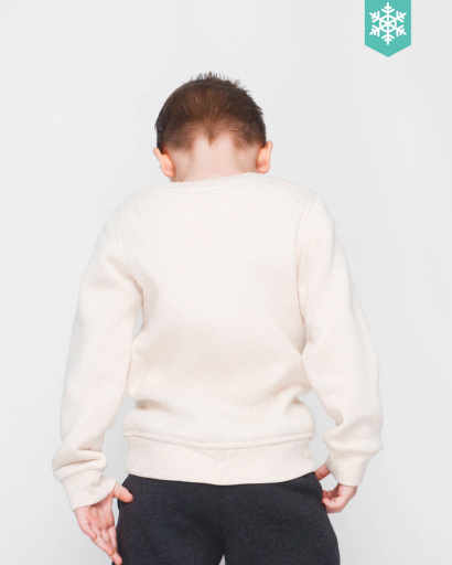 Детский свитшот на флисе цвет бежевый 30425, Цвет: Бежевый, Размер: 92, изображение 2