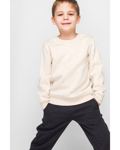 Детский свитшот на флисе цвет бежевый 30425, Цвет: Бежевый, Размер: 92, изображение 4