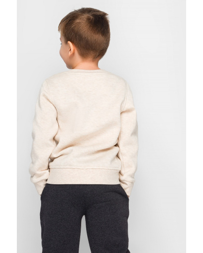 Детский свитшот на флисе цвет бежевый 30425, Цвет: Бежевый, Размер: 92, изображение 5
