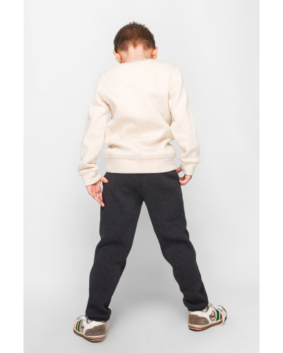 Детский свитшот на флисе цвет бежевый 30425, Цвет: Бежевый, Размер: 92, изображение 6