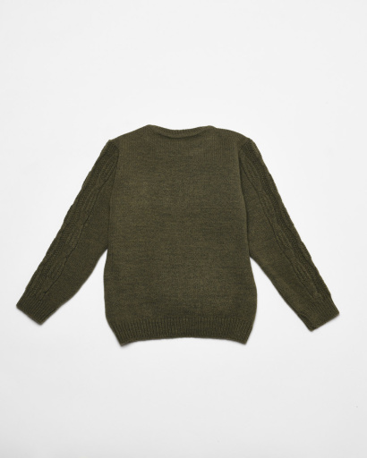 Дитячий светр з вишивкою "Tiger" 53246, Колір: Хакі, Розмір: 98, зображення 2